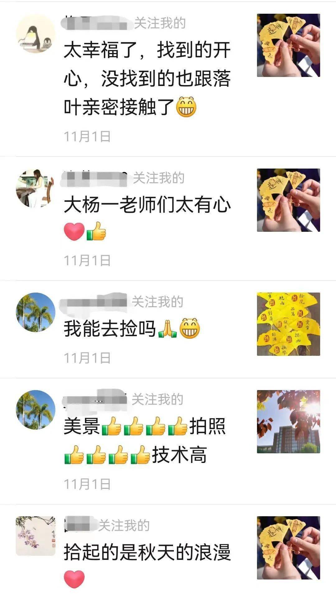 好浪漫！那些落在秋天的书签，你收到了吗？