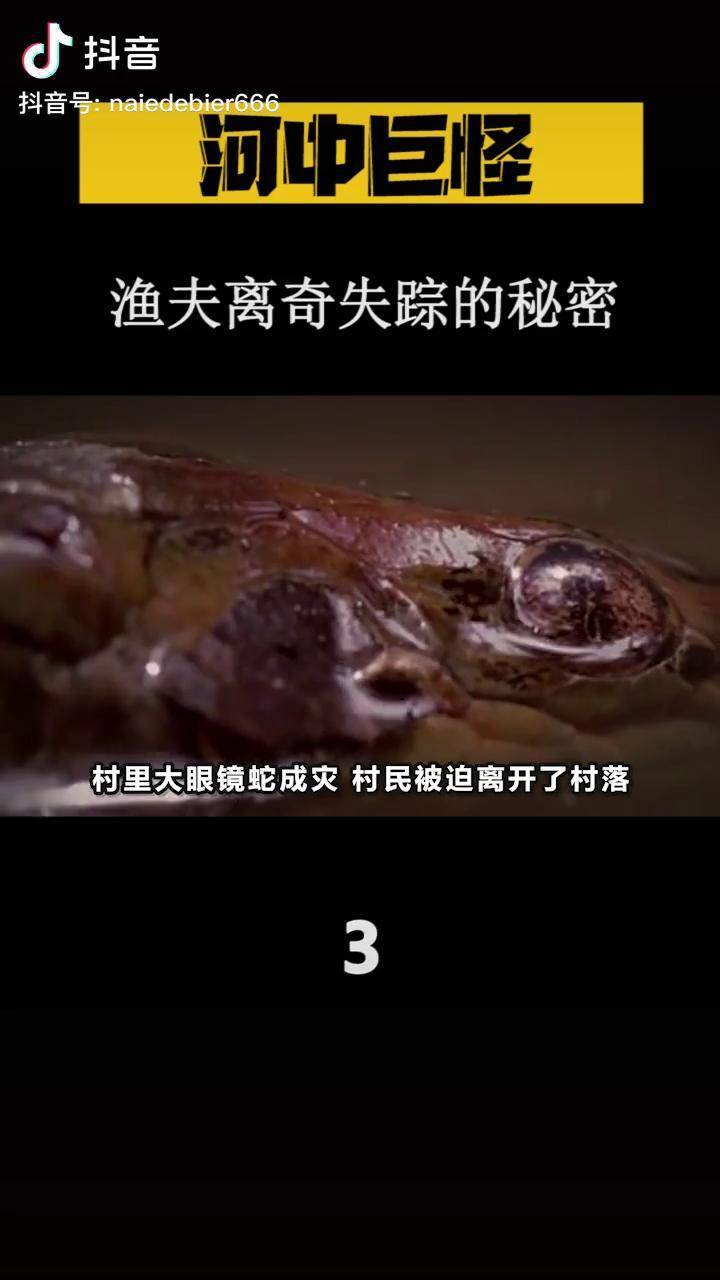 跟小孩一样大河中巨怪 河中巨怪杰瑞米瓦德 鳄雀鳝 钓鱼 野钓 野钓