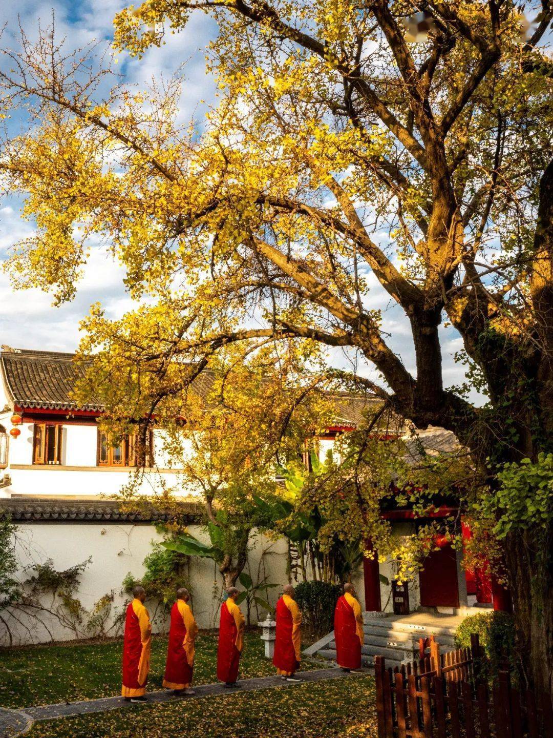 二十四节气|立冬——天水清相入 秋冬气始交_木叶_野鸡_万物