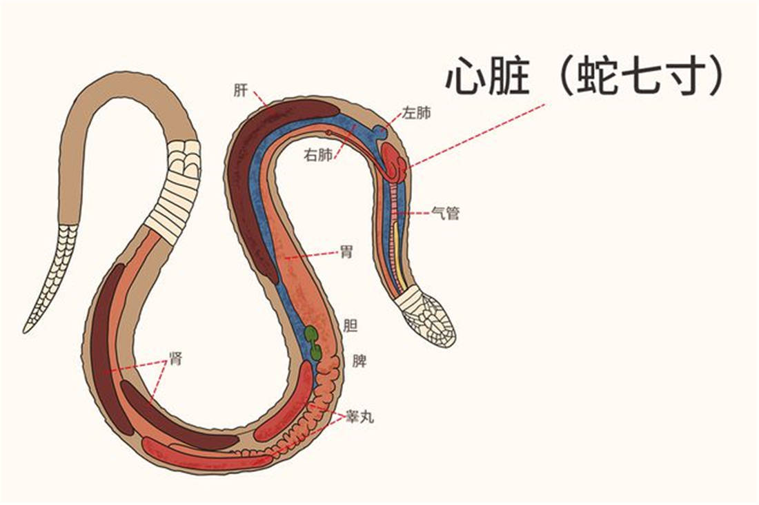 其三,從視頻看,這條過山風的後半部分斷了,可見,男孩