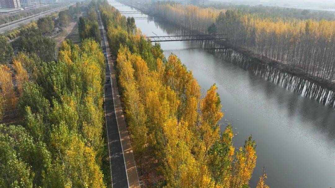 任文干渠秋色_任丘市_文安县_刘庄村