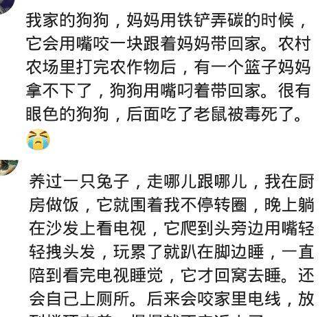 我爸一喝醒就抱着狗子聊人生，时间久了狗子一闻到酒味，就藏在床底下