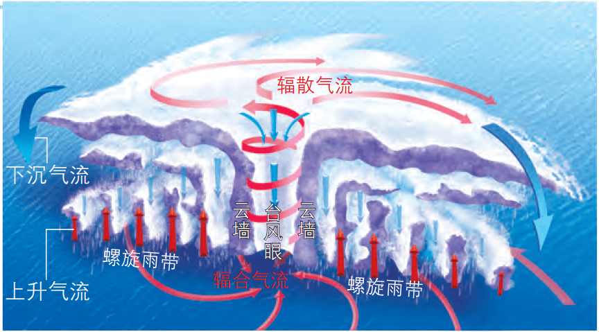 【教材解读】新教材不同版本的《地球的历史》有何差异?气候变暖会导致更多彩虹出现!关于风的地理知识_演化过程_内容_生物