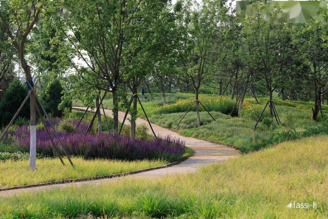 新自然主义的植物设计和基于生态的植物景观_种植_理念_城市