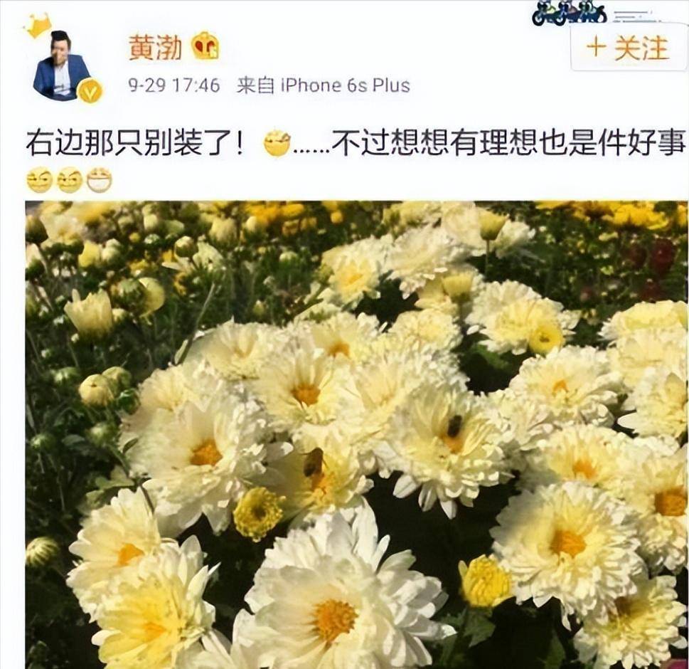 明星拿奖能否实至名归，台下圈内人的反响最实在，那信息量太大