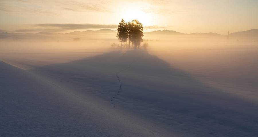 2023年将成冰箱产业的转折点-家电圈官网