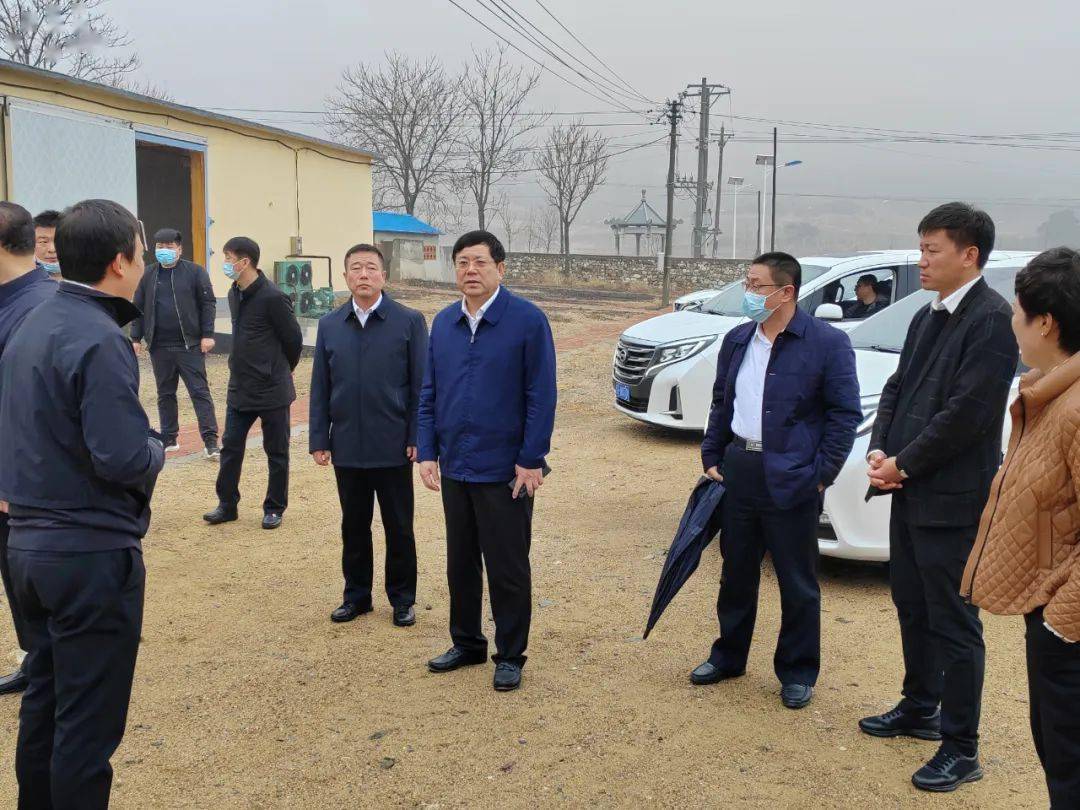 王百胜到大石桥市建一镇调研乡村振兴工作_建设_发展_产业