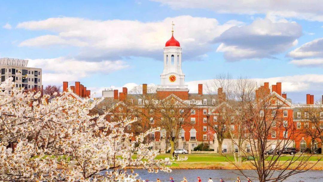 哈佛大学harvard university