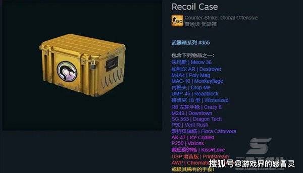 kiss lovep250 | visionsak-47 | ice coaled双持贝瑞塔| flora cami