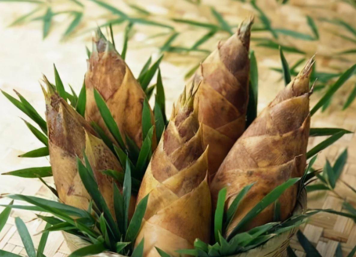 春笋不易保存,误区是直接放冰箱!