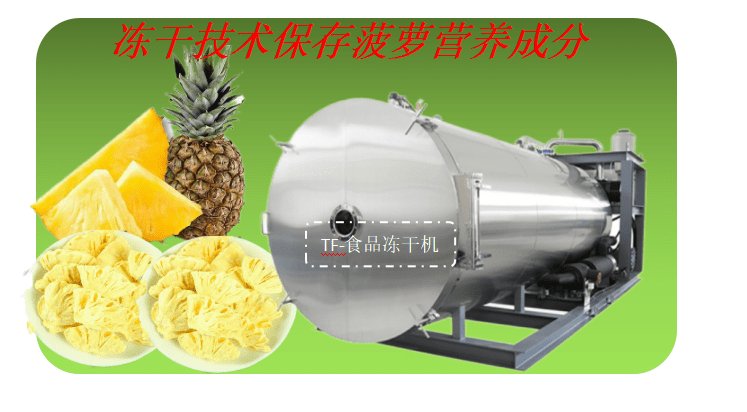 食品冻干机在菠萝冻干片,菠萝冻干粉加工应用_发展_基本_食用