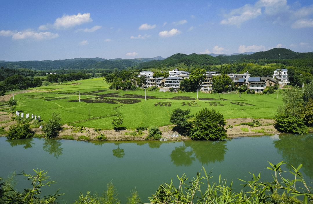 正在公示!_建设_湖南省_栖凤渡镇