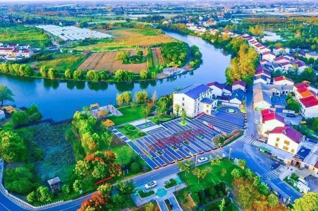 南京盘城街道渡桥社区王家渡荣获省级特色田园乡村称号_葡萄_发展