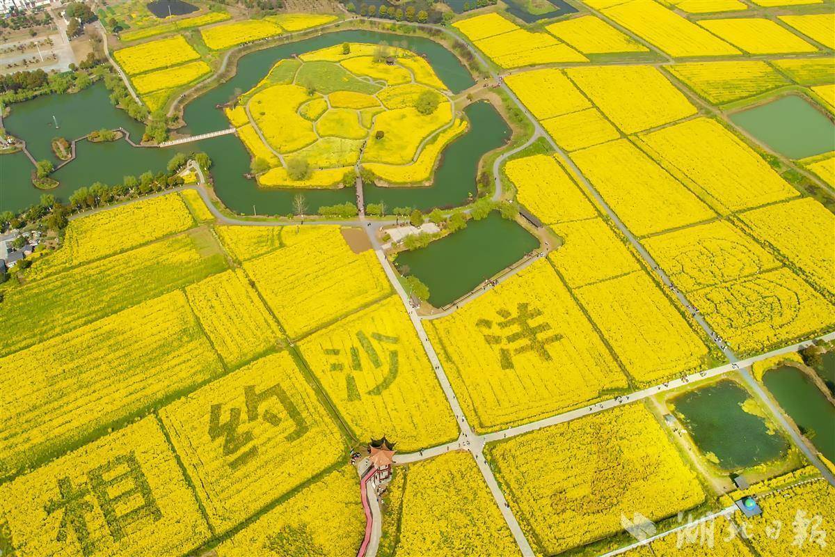 影院家庭厅是什么意思_影院家庭票_家庭影院影院