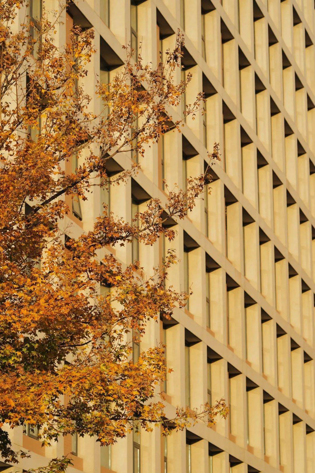 环境_赵青_建筑馆