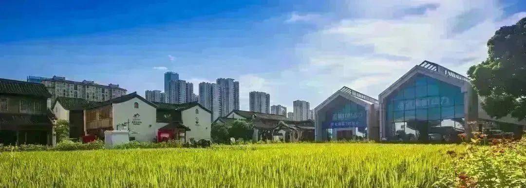 隔空投送！邀您共赏杭州未来科技城美景！