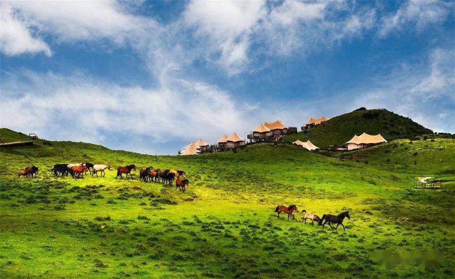 【盘州旅游】盘州景区全家福最新版_国家_乌蒙_特色