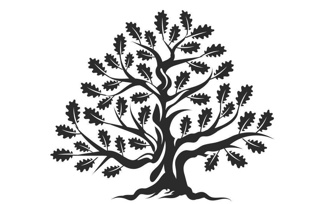 橡树创新:寻找橡树的高大身影_舒婷_季节_山林