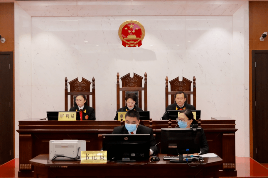 濮阳中院院长徐哲担任审判长 公开审理行政案件_机关_支持_进行