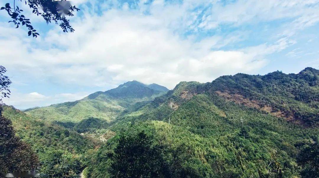 行洲山路行_朱砂冲_哨口_井冈山