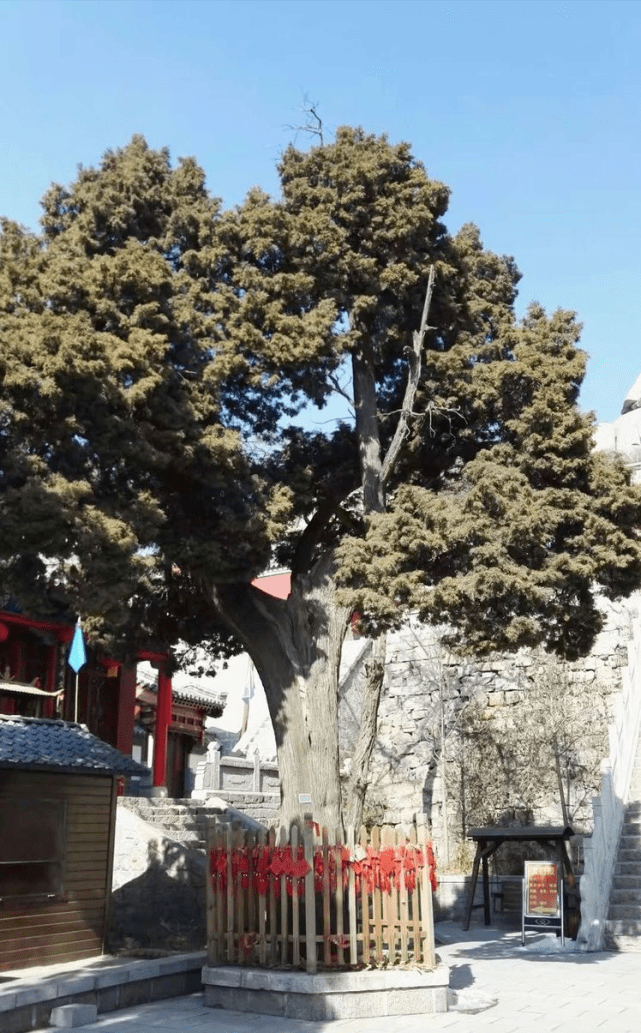 峄山 岱南第一山_白云宫_手机_巨石