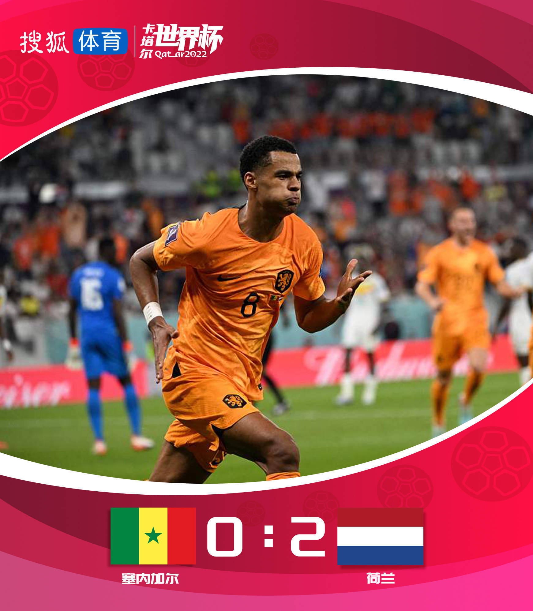 世界杯-加克波破门克拉森建功 荷兰2-0塞内加尔