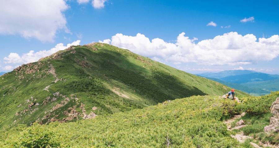 场景时代家电企业更要坚守产品主义-家电圈官网