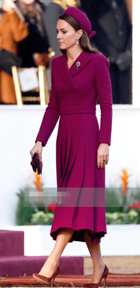 凯特迎接南非总统轻松抢风头！穿收腰裙比卡米拉有气场，美貌超绝