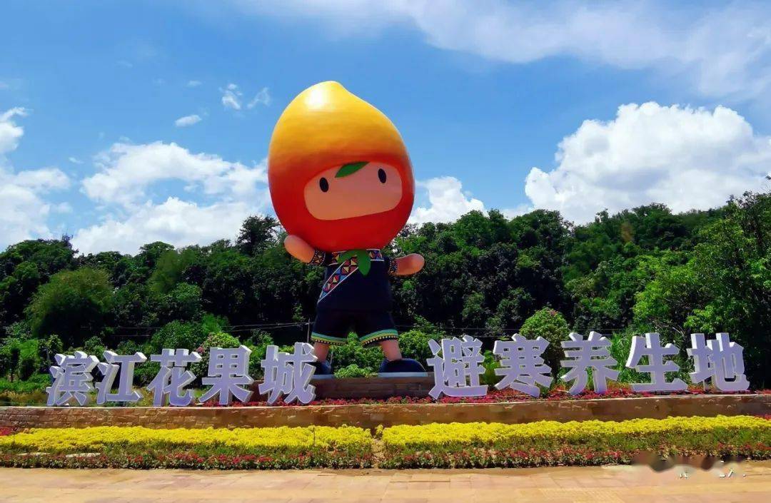 元江县|带上"绿"镜,感受冬日太阳城的蓬勃绿意_增城市_绿化_建设