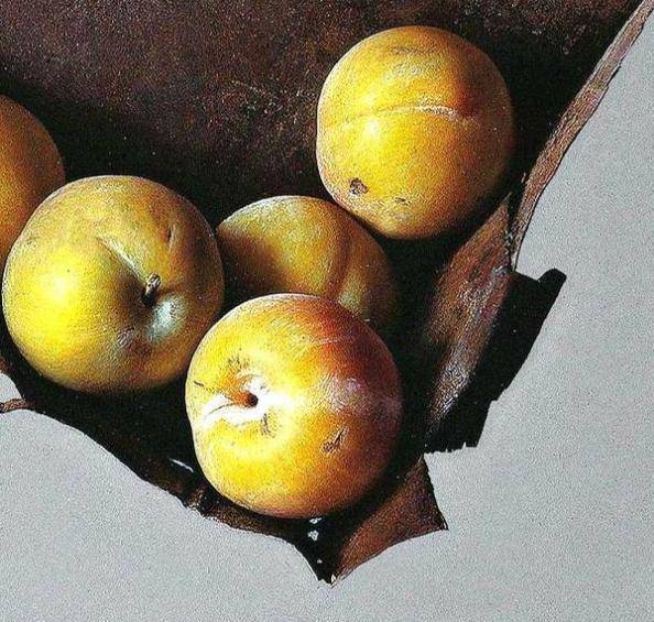 冷军画6个李子,卖1482万,放大30倍,香甜诱人忍不住想咬一口_写实_水果