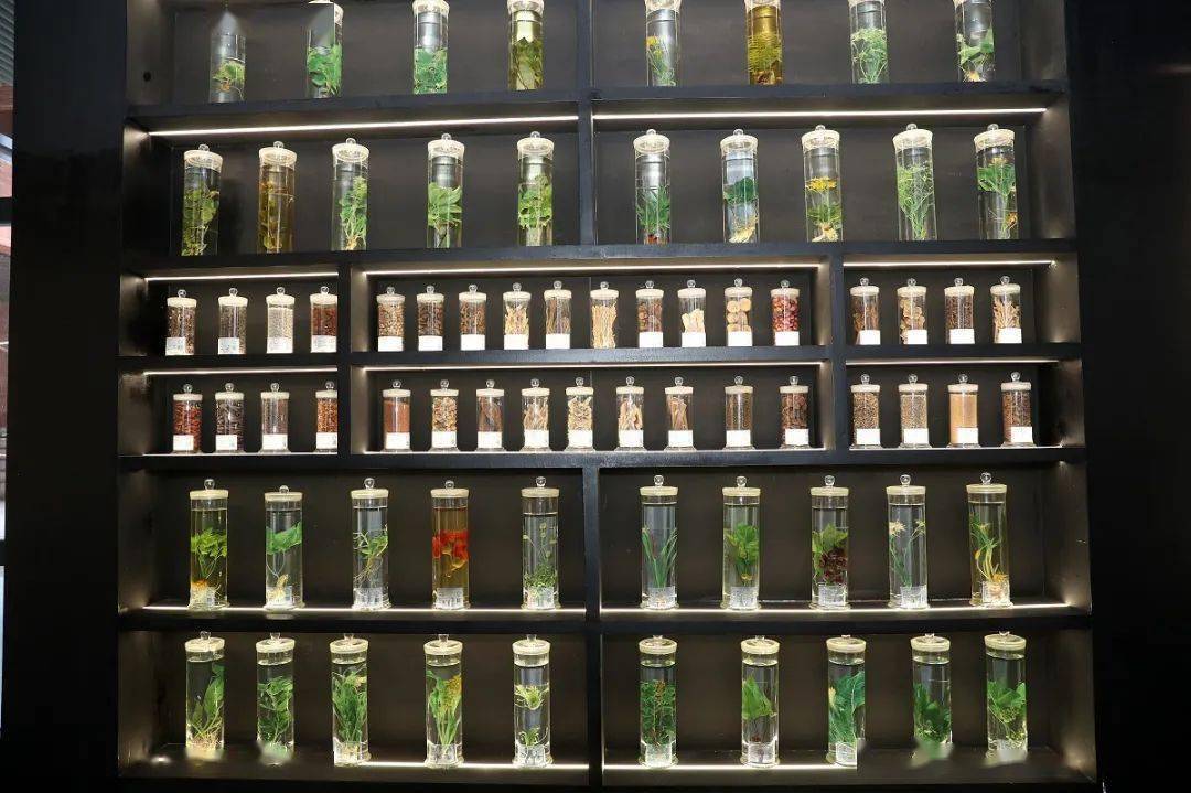 种子库_种子库下载