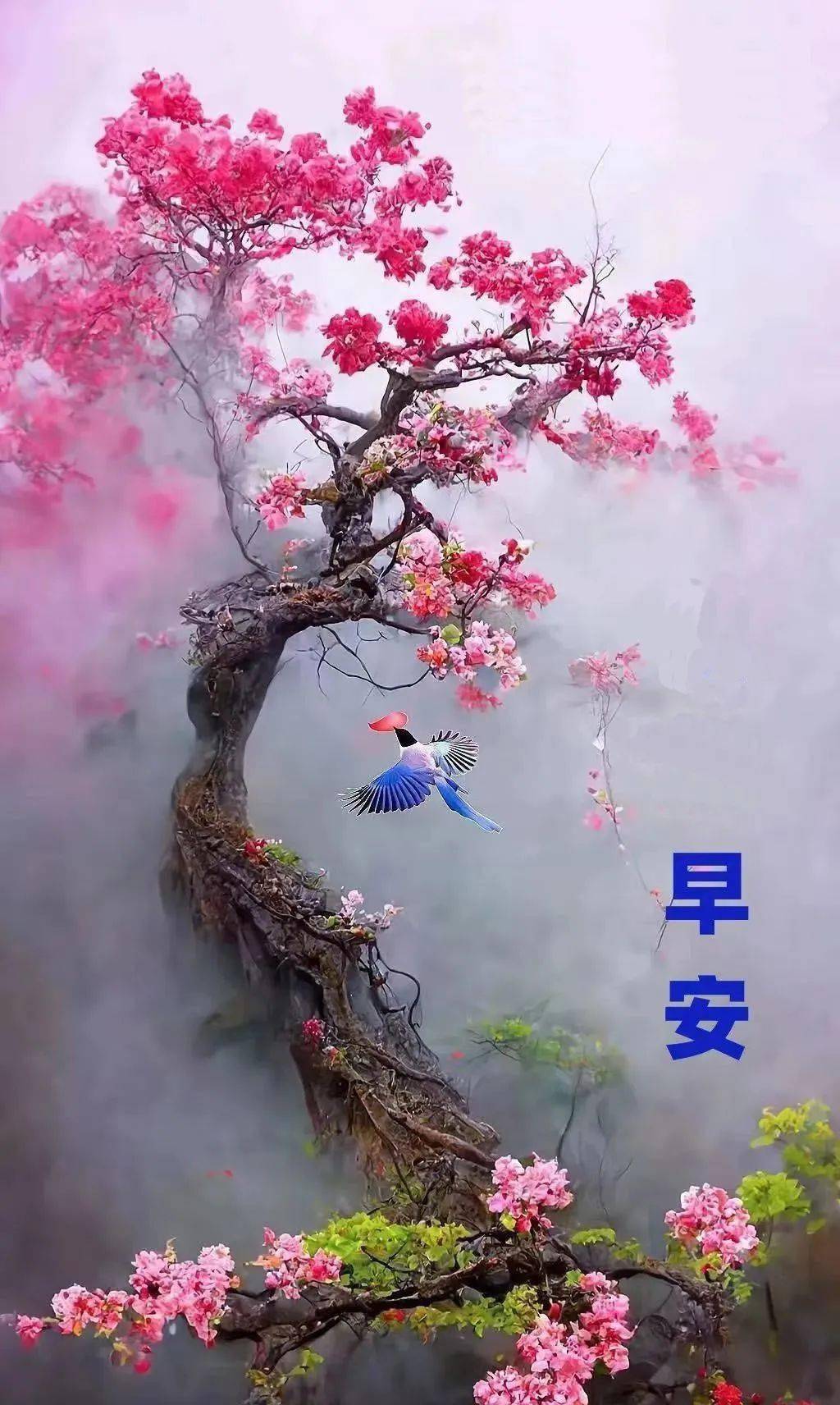 早安!最美的祝福送给您!_朋友_问候_心情