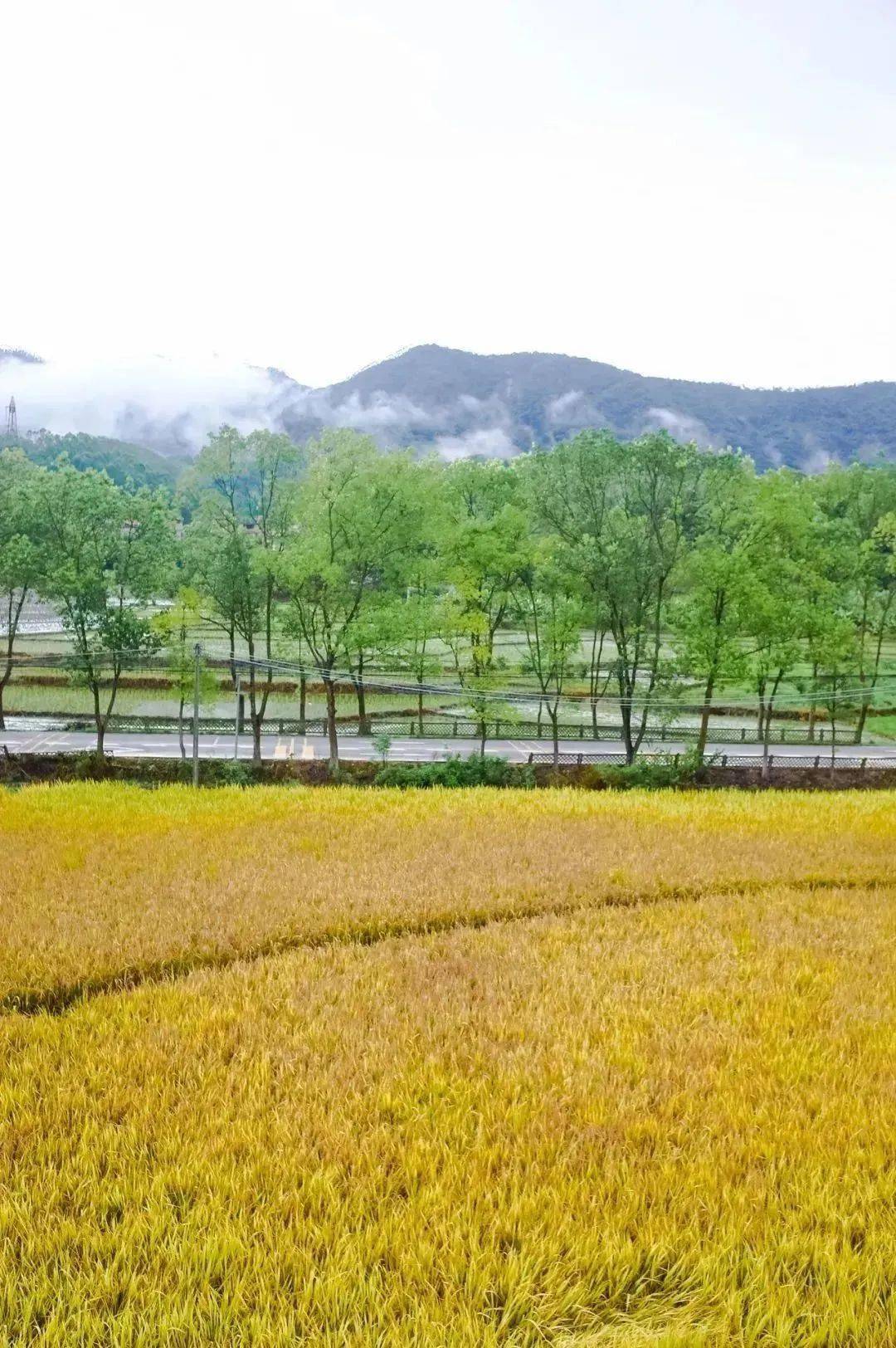 麥客喜客麥客喜客民宿,位於惠州市博羅縣橫河鎮上河村,毗鄰羅浮山,立