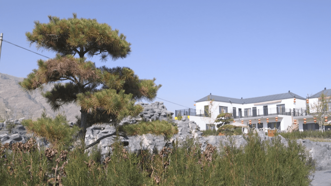 遇见石嘴山 | 龙泉山庄民宿的7种可能_庭院_房间_时光