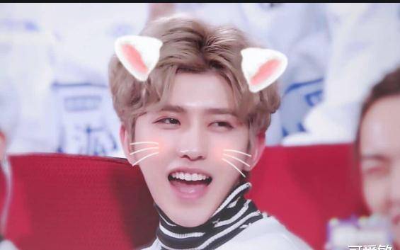 当蔡徐坤撞上张翰,气质完全不输,旁边的何穗都显得小鸟依人_偶像_网友