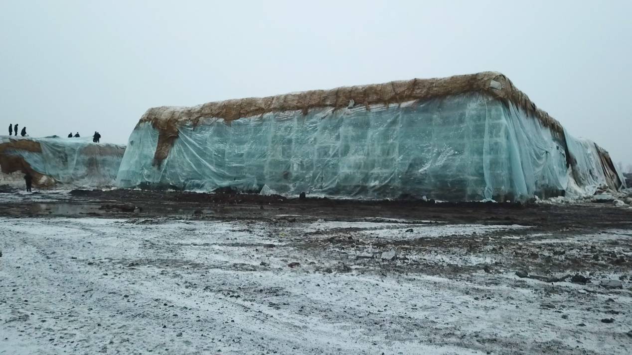 据了解,今年哈尔滨冰雪大世界在冰建施工技术方面有了进一步精进,毛冰