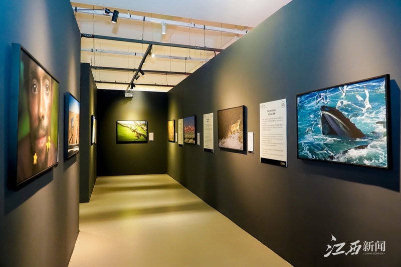 城市里的"宝藏空间" 打卡鸿鹄里文化艺术空间