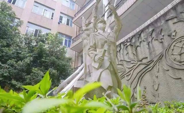 成都医学院录取分数线_成都医学院往年录取分数线_成都医学院专业录取分数线