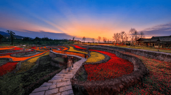 稻花香裡說豐年 | 現代田園鄉村遊_銅梁_景區_旅遊