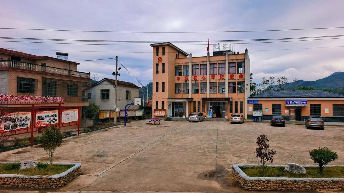 咸安大幕乡西山下村:"四步曲"奏响乡村振兴最强音_发展_茶园_产业