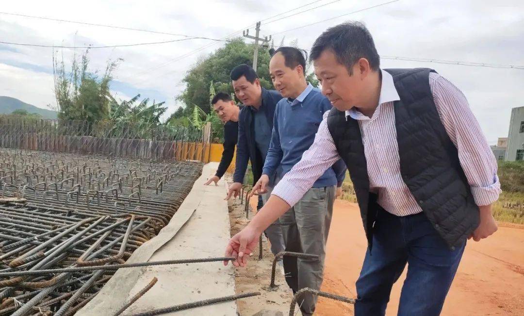 中坝镇凝聚乡贤力量干大事!_建设_紫金县_过境