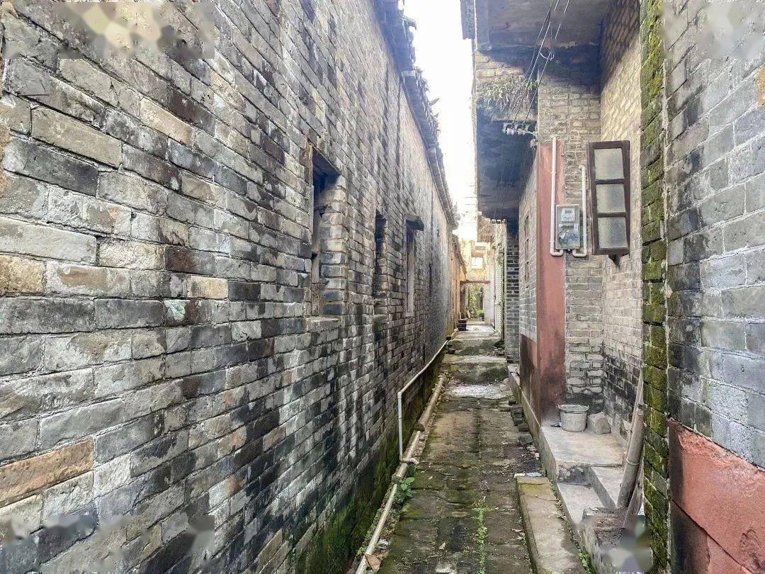 园洲这个有800年历史的古村落,你知道是哪里吗?_马嘶村_东江_村民