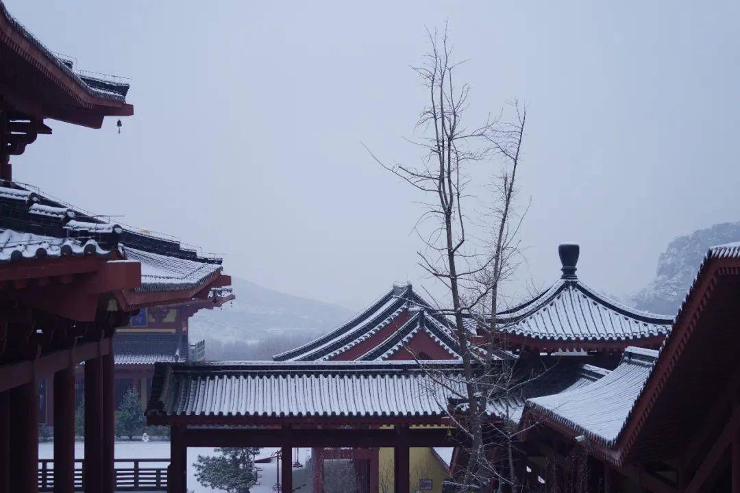 如《中庸》所言:人皆曰予知,驱而纳诸罟擭陷阱之中,而莫之知辟也