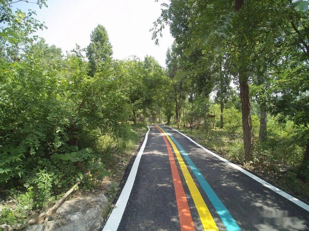 枣庄市中区丨邂逅环城森林绿道初冬静谧美景_爱好者_来源_首选