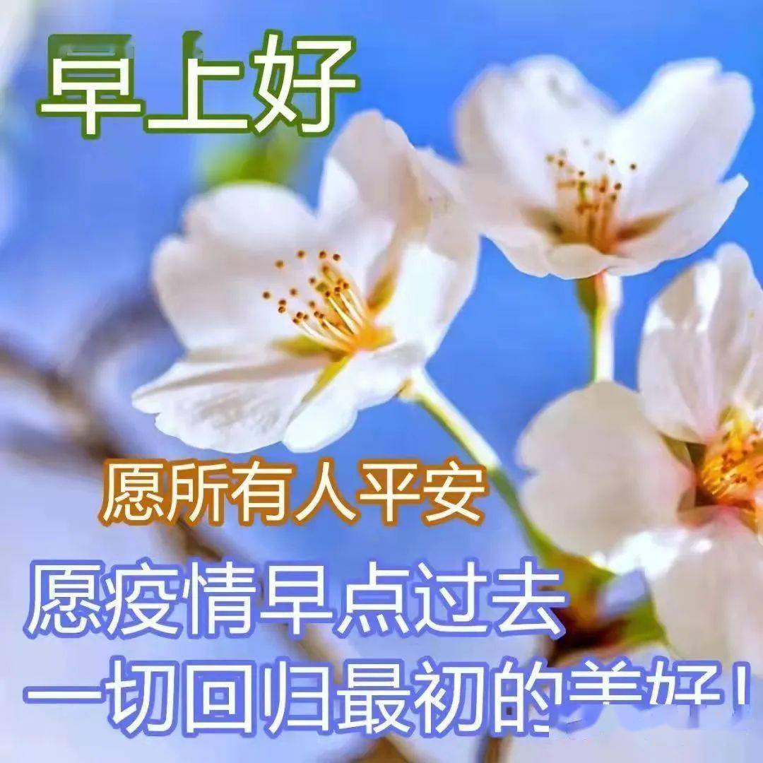 早安吉祥!一场疫情,让所有人清醒,生命在大自然面前,是如此渺小