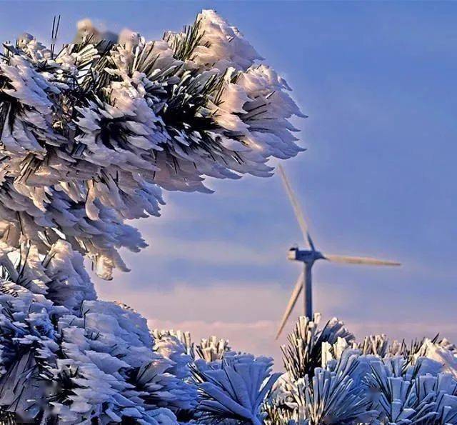 所有人,括苍山今冬第一场雾凇来啦!_低温_奇观_寒风