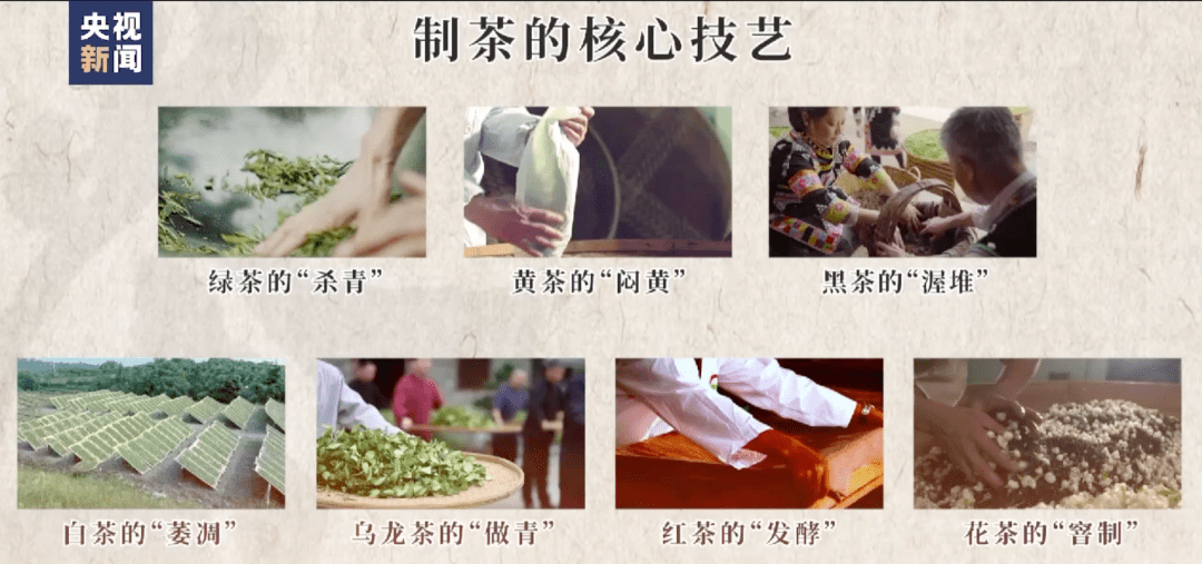 申遗成功!祝贺“中国茶”,冬日品茶书单来啦~_技艺_习俗_女王
