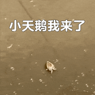若有来源标注错误或侵犯了您的合法权益,请立即后台留言通知我们,情况