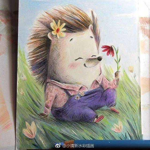 彩鉛手繪治癒系插畫,彩鉛手繪森系插畫,彩鉛筆下的手繪插畫_視頻_教程