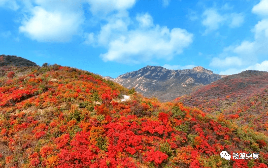 桐柏红叶景区电话图片